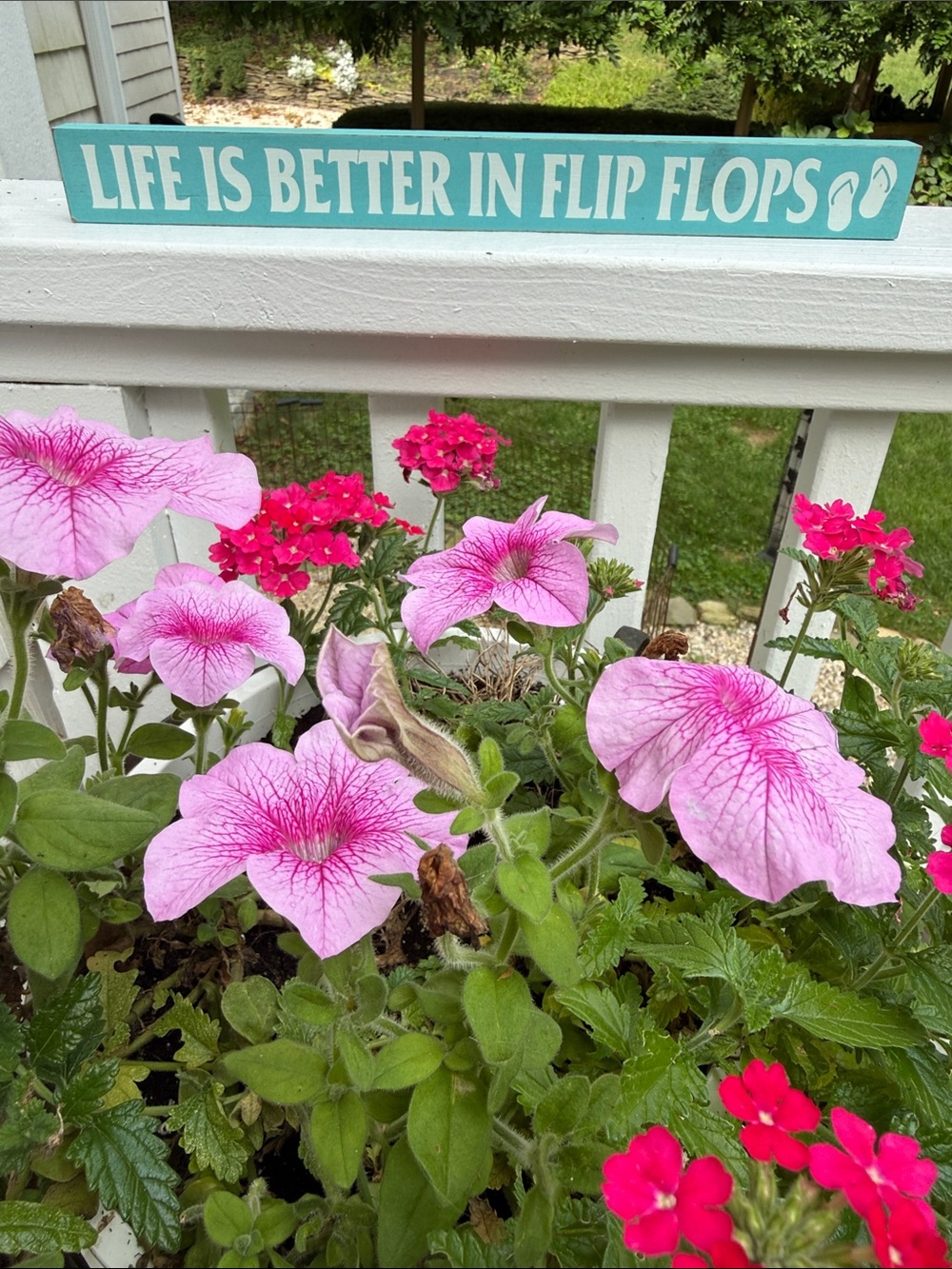“Life is Better in Flip Flops” 🩴 Decorative Sign
